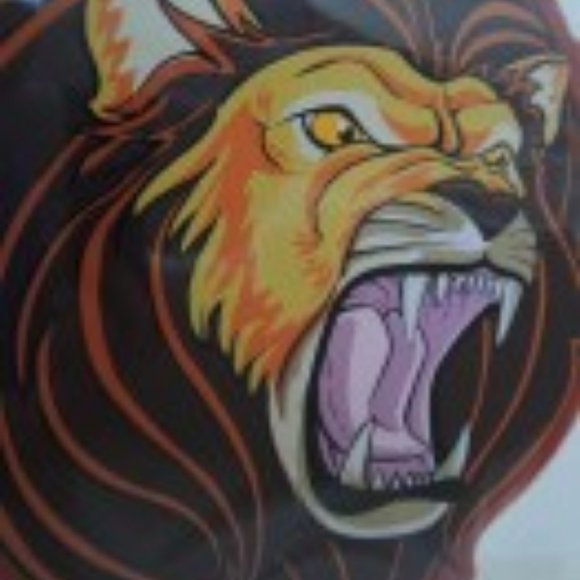 Lion Head Paddle + Ball Toy On String Lincoln Park Zoo Paddle Ball Souvenir NIP - Picture 3 of 4